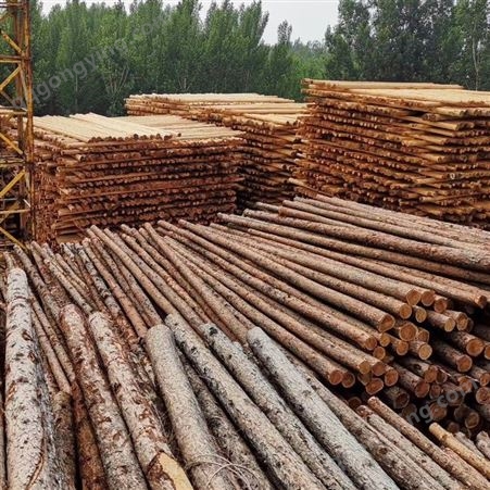盛金源 大量供应 油木杆 9米  12个粗 油炸杆 通信木杆 防腐木杆