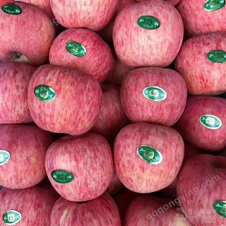 红富士苹果红香蕉苹果批发价格产地行情