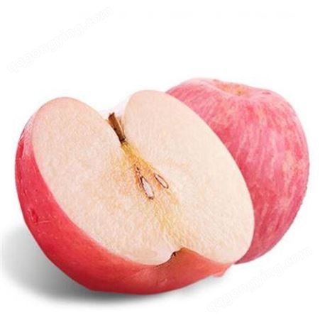 纸袋藤木苹果批发 美八苹果价格 代收苹果 批发价格