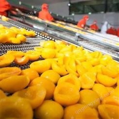优质罐头 水果黄桃罐头 山东巨鑫源工厂供应 可出口包邮