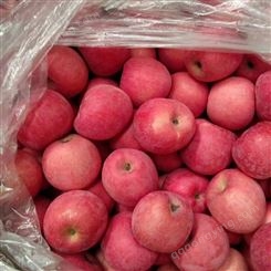 苹果代收 今年冷库红富士苹果价格动态