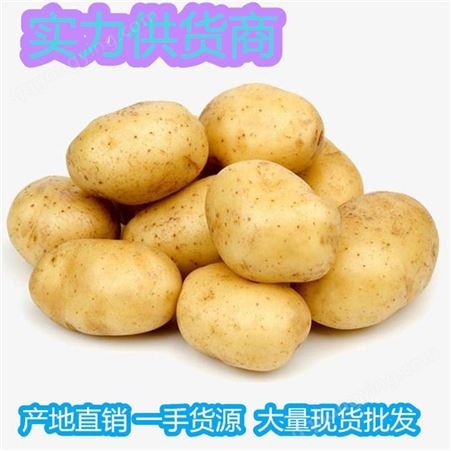 冷库储存的马铃薯批发价格 出口级马铃薯基地价格 昊昌农产品