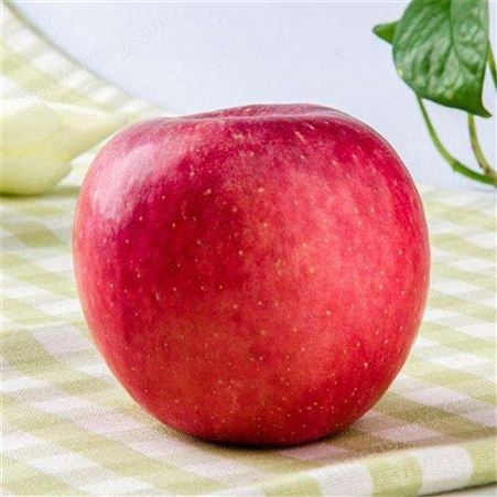 红富士苹果冷库 里有苹果冷库格表