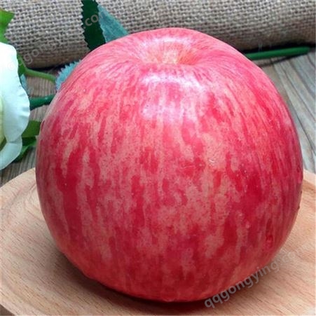 红星苹果 栖霞红富士 颜色深红水分足含丰富维生素 昊昌农产品