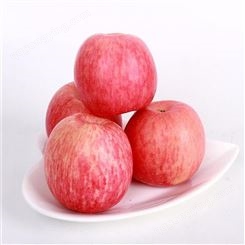 红星苹果 片红红富士 口感酥脆外形圆润 昊昌农产品