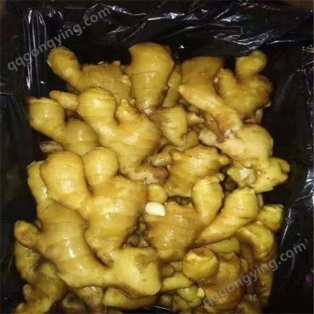 小黄姜新鲜上市价格 生姜冷库几年 生姜农产品 现货供应