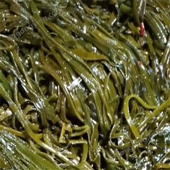 晶鑫海带丝 海带丝生产 海带丝咸菜 厂家直售
