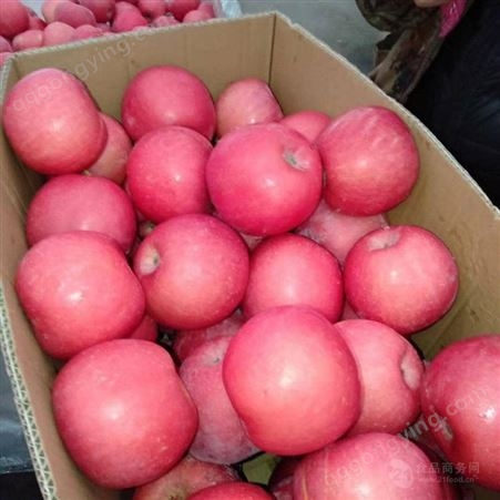 太原辽宁红富士苹果 疫情对红富士苹果的影响
