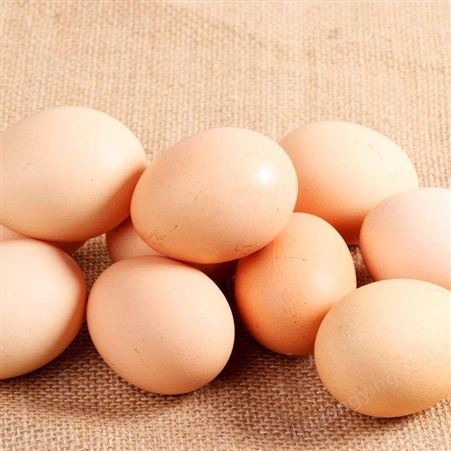 农家散养土鸡蛋草鸡蛋笨柴鸡蛋正宗新鲜土鸡蛋高山散养40枚
