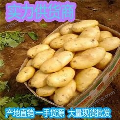 马铃薯图产地价格报价 精品马铃薯价格 昊昌农产品