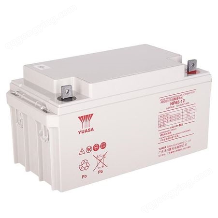 YUASA NP65-12 UPS/EPS专用12V-65AH 汤浅蓄电池