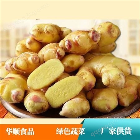 大黄姜出口 口感辛辣 喜温暖湿润气候 华顺食品
