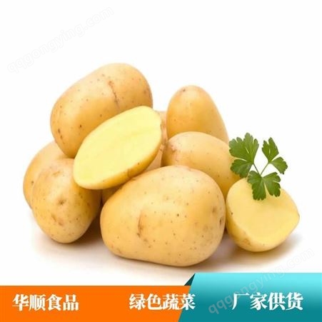 水洗土豆 属于块茎类作物 可用于市场销售 蔬菜供应厂家 华顺