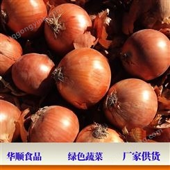 紫红皮洋葱头黄圆葱 食用农产品 蔬菜种植 华顺食品