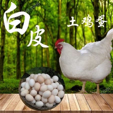 白皮土鸡蛋_限莱阳附近_散养农家土鸡新鲜鸡蛋