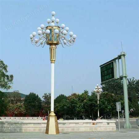 玉兰灯  广场中华灯 8米12米公园灯 厂家供货 可