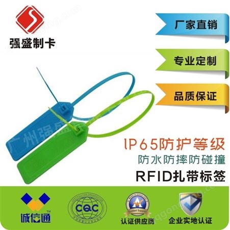 批发RFID扎带标签 铅封标签 资产管理电子标签厂家