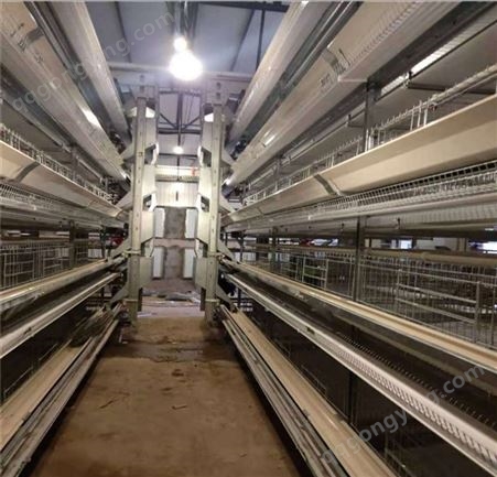 蛋鸡笼 型号齐全层叠式肉鸡 养殖设备 蛋鸡笼养殖 设备肉鸡笼养厂家