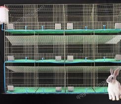 新型免清粪兔笼三层12位质量保证兔子笼