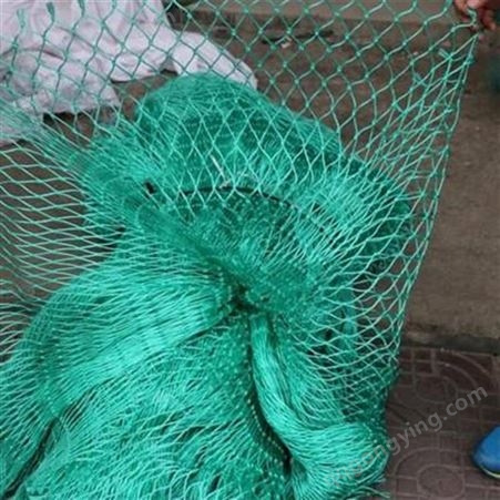绿色6股家禽养殖网 农业养殖聚乙烯编织绳PE渔网 有结绳网