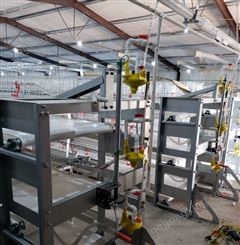 鸡笼厂现货肉鸡笼网片笼养设备上门测量安装
