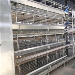 盟鹏畜牧设备供应三层阶梯式蛋鸡笼自动化清粪机