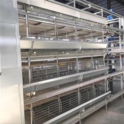 组合肉鸡笼 厂家生产肉鸡养殖笼 防锈肉鸡生产笼 自动化鸡笼