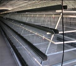 蛋鸡笼 型号齐全层叠式肉鸡 养殖设备 蛋鸡笼养殖 设备肉鸡笼养厂家