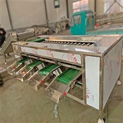 弗朗供应不锈钢分选设备生产厂家 洋葱大蒜头分选机 果蔬滚杠分级机