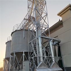 雪莱 大型1800吨装配式镀锌板 面粉钢板仓 生产出售