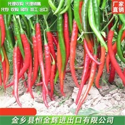 新鲜辣椒代购 保鲜辣椒厂家 供应出口新鲜辣椒