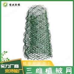 咸宁三维植被网固根 绿化网
