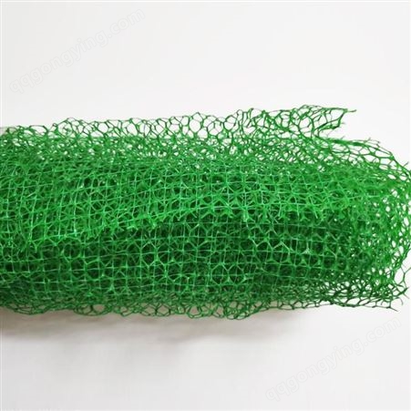 三维植被网垫 三维网垫植草护坡 260g三维植被网 防止水土流失 鲁创