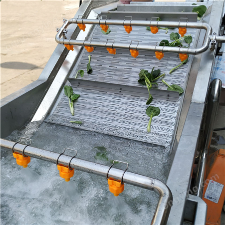 全自动气泡果蔬清洗机 臭氧洗菜机 蔬菜漂烫机