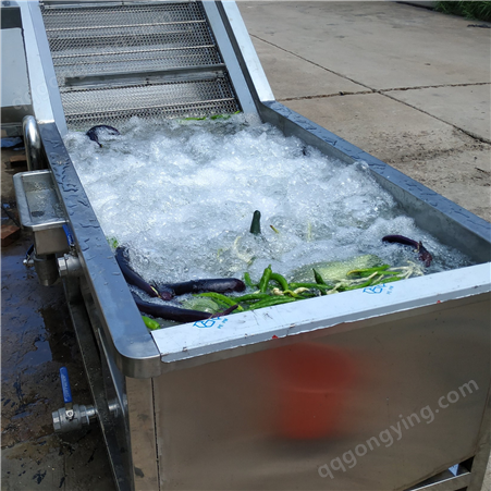 不锈钢枸杞喷淋式气泡清洗机 全自动大枣蔬菜清洗设备