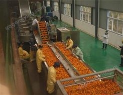 上海嘉备 剁椒生产加工设备 辣椒丝加工设备生产线 罐头加工生产线