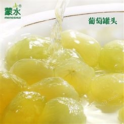 水果罐头 葡萄罐头 黄桃罐头_生产制造商