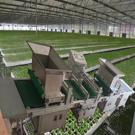 气吸式穴盘育苗播种机出厂价/蔬菜自动育苗流水线/用于大型农场