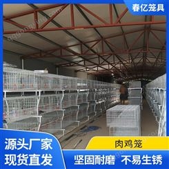 肉鸡笼-出售养鸡设备穴体笼养 肉鸡蛋鸡高密度养殖笼三层两门式