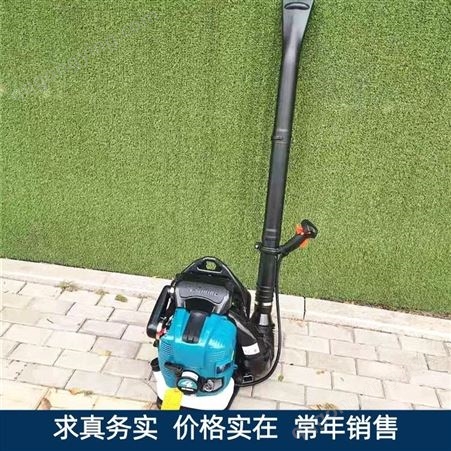 地面灌缝清理除尘机 背负式汽油吹风机 小型轻便式