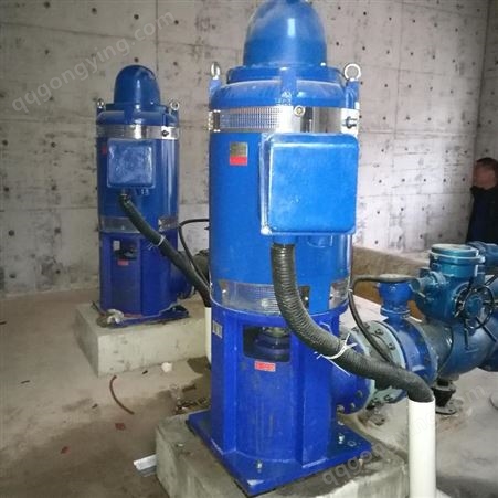 350RJC370-16X2 长轴深井泵 南京环亚制泵