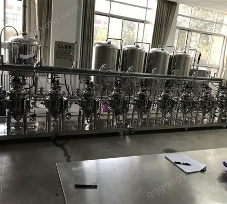实验室全自动不锈钢多联发酵罐设备 多级发酵设备