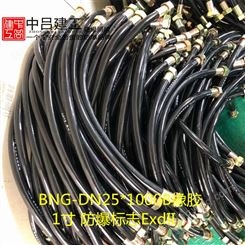 BNG-DN25*1000B橡胶防爆挠性连接管1寸1米软管电缆过线管G1 EXD
