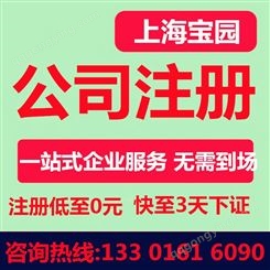 上海注册公司需要多少钱 外商独资企业注册需要什么条件-上海宝园