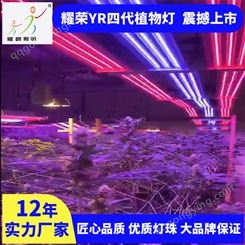 LED植物灯 可调光 400w全光谱LED补光灯 加工定制 耀嵘科技