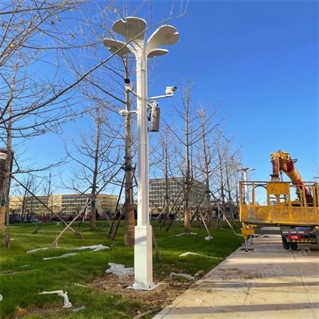 批量供应LED景观灯 5米6米8米景观灯 江苏睿力路灯厂家