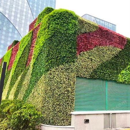 塑料草坪仿真植物墙 人造绿植背景墙户外景观垂直建筑墙体绿化