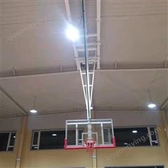 户外锻炼篮球架 升降折叠型悬顶式电动液压篮球架 鸿福 电动升降篮球架 来图订制