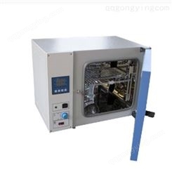 DHG、DGG鼓风干燥箱 提供非标定制  专业生产厂家  品质保障