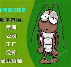 广州东升除蚊子灭白蚁 杀蟑螂 消灭老鼠上门价格多少